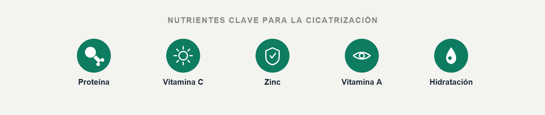 Nutrientes clave para la cicatrización: proteína, vitamina C, zinc, vitamina A e hidratación